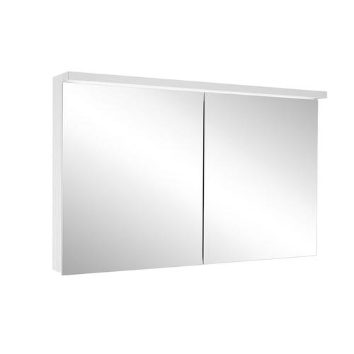 Schneider Spiegelschrank ADVANCED Line Ultimate TW 120/2/TW, silbereloxiert, 188.120.02.50 188.120.02.50