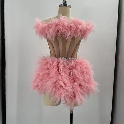 Dance Costumes Exotic Dancewear Dress Feathers / Fur Women's Party Performance Sleeveless Tulle