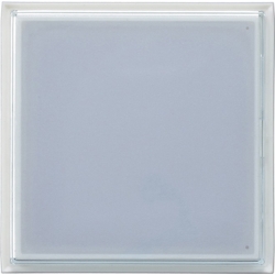 Gira Info-Modul für Türstation 126400 Image