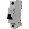 0515736555 Built-in interruttore magnetotermico Abb, b, 1/16 a/ - Rev Ritter