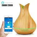 Tuya Umidificatore Intelligente Oli Essenziali con Colorgul LED Luce WiFi Diffusore di Aroma Timer Controllo Wireless Funziona con Alexa Google