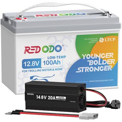 12V 100Ah Lithium Batterie LiFePO4 Akku mit Low Temp Cut-Off+14,6V 20A Ladegerät für 12V Lithium