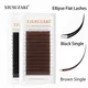 XIUSUZAKI Brown Flat Ellipse Eyelash Split Tips Matte Gray Black Color Super Soft Gentle Natural Eyelashes Extension Flat Lashes