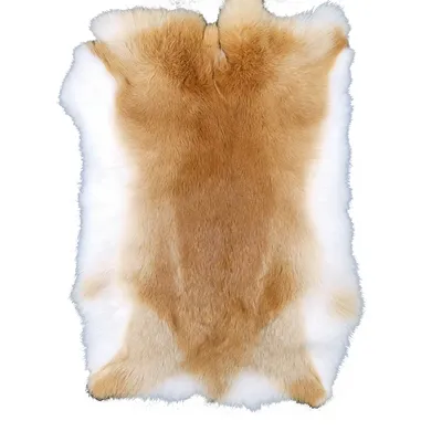 Natural Rabbit Skin Real Rabbit Hair Rex Rabbit Skin Whole Fluffy Rabbit Skin DIY Home Decor Clothing Accessories High Quality