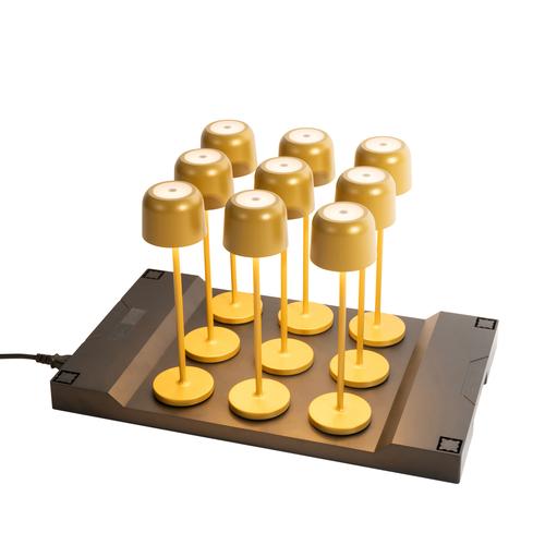 Set mit 9 wiederaufladbaren Tischlampen Pilz Gold inkl. Ladestation - Raika