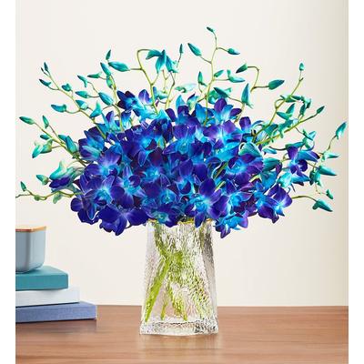 1-800-Flowers Flower Delivery A Night In Bali 20 Stems W/ Clear Vase