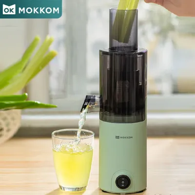 Small Electric Slow Juicer Household Cold Press Extractor Slag Juice Orange Celery Juicer Residue