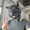 Maschere realistiche in lattice con testa di animale del topo Costume cosplay di animali di