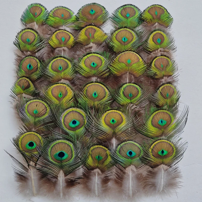 Seltene Federn! 50 Stück/Lot 7-10cm Lange NATÜRLICHE PFRAUENFAULENZERFEDERN - Fliegenbindematerial, Mini Pfauenaugenfedern Image