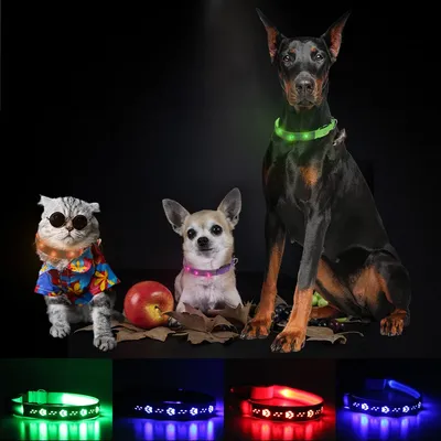 LED Hunde halsband leuchten Hunde halsband verstellbar USB wiederauf ladbar super hell Sicherheits Image