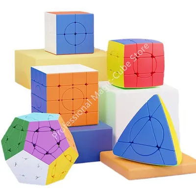 Shengshou 2X2 3X3 4X4 5X5 Megaminx Crazy Cube Stickerless PuzzleCubo Magico Bildung Lernen Cubo Magico Spielzeug Image