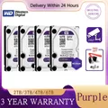 Western Digital WD Viola HDD 1TB 2TB 3TB 4TB SATA 6.0Gb/s 3.5 "Disco rigido per sistema di sicurezza