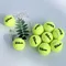 6/12 PCS Wilson Original Tennis Ball Training Balls Tenis Ball Tennis Coach Balls Trainer Pelotas