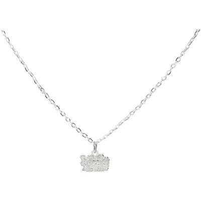 Britischer & Irish Lions Wappen-Anhänger und 55 cm lange Kette Image