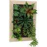 SIL - Cadre mural avec plante succulente artificielle 20 x 30 cm