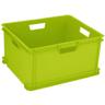 259598 Boîte de rangement Unibox Classic 75 Jahre-Edition vert clair 1 pc(s) - Curver