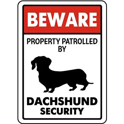 Metal Signs Beware Property Patrolled by Dachshund Security Signs Traffic Sign Aluminum Signs Road Tin Signs for Outdoor Coffee