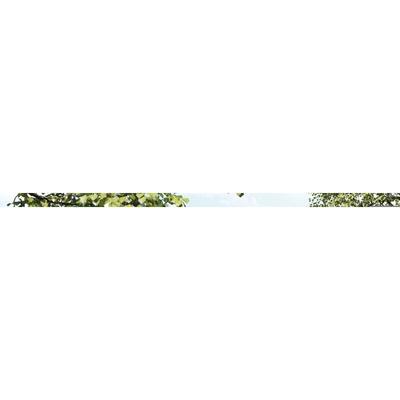 Abdeckplane 2x2m, Gewebeplane wasserdichte, 180 g/m² pe Schutzplane Gartenplane Bootsplane mit Image