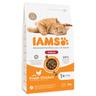 2,7 kg / 3 kg IAMS zum Sonderpreis! - Advanced Nutrition Indoor Cat mit Huhn 3 kg