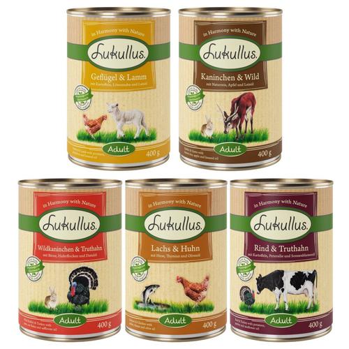 20 + 4 gratis! 24 x 400 g Sparpaket Lukullus Naturkost - Mixpaket 1 (5 Sorten)