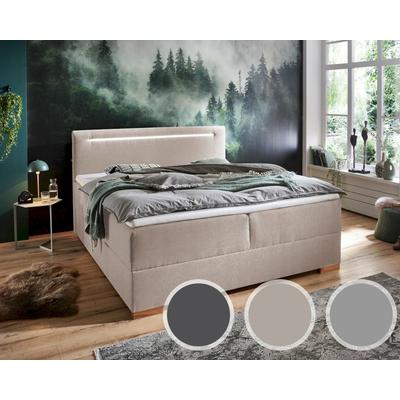 meise.möbel »Cooper I« Boxspringbett inkl. Bettkasten 120x200 cm / FARO grau Nr. 04 Image