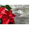 Christmas Cutting Board Poinsettia On Plank - Set of 2