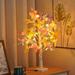 Ikohbadg LED White Birch Tree Lights - Colorful Butterfly Design Christmas Shaped LED Ornaments - Energy-Efficient Decor Multi-Color Changing LED Tree Lamp - USB Charging