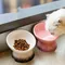 Katze Keramik Schüssel erhöht Haustier gekippt Futter Wasser Feeder kleine Hunde angehoben trinken Essen liefert Haustier Hund und Katze Schalen