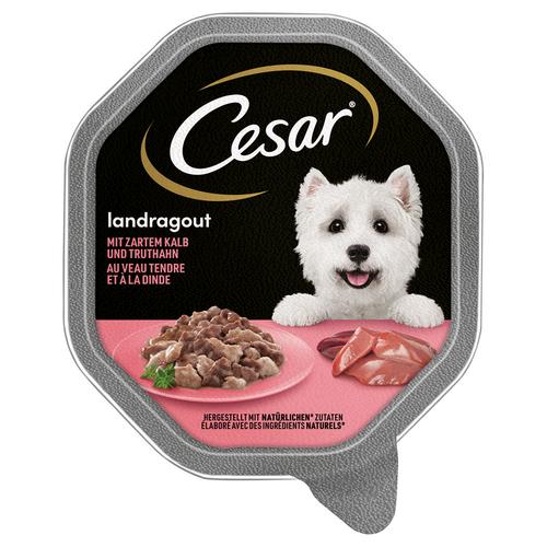 14x 150g Landragout mit Kalb und Truthahn Cesar Hundefutter nass