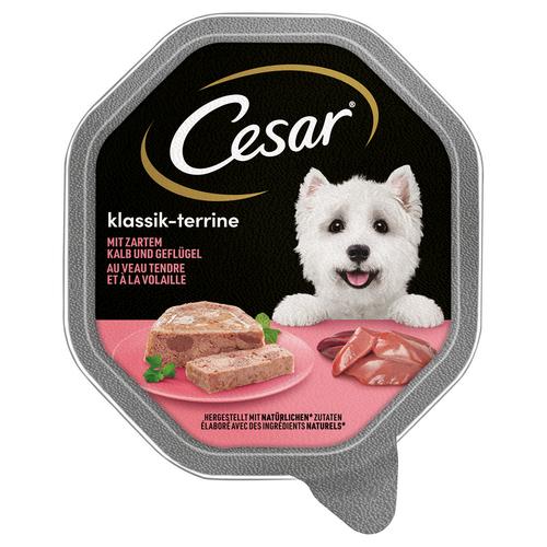 28x150g Klassik-Terrine mit Kalb und Geflügel Cesar Hundefutter nass