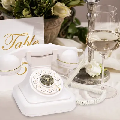 Audio Message Book Birthday Party Voice Retention Commemorative Telephone Blessings Recording
