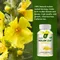 Organic Mullein Leaf Capsules Respiratory Health - Organic Mullein Leaf Extract for Lung Detox,