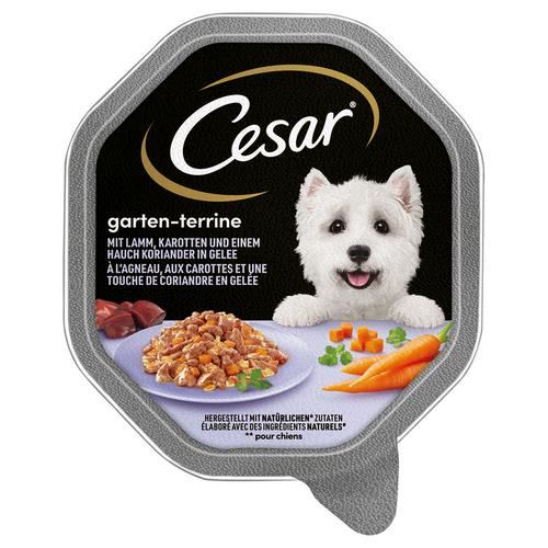 28x150g Lamm, Karotten und Koriander in Gelee Cesar Hundefutter nass