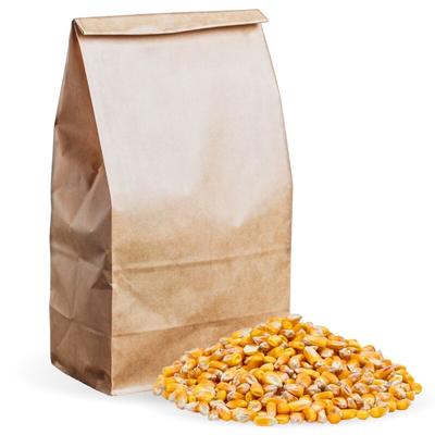 10 kg Lyra Pet Futtermais Qualitätsfutter Körnermais