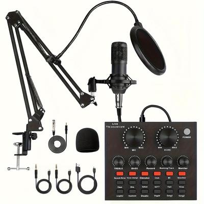 TEMU A Podcast Equipment Bundle With V8 Sound Card And Bm800 Microphone | Podcast Microphone Kit For Streaming, Media, Games And Karaoke