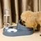 Neue 2-in-1 Katzen schale Wassersp ender automatische Wassersp eicher Haustier Hund Katze Futter Schüssel Futter behälter mit Tränke Haustier Tränke Feeder