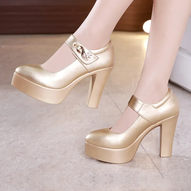 5 8 10cm Small Size 32-44 Elegant Gold Silver Wedding Shoes Women Platform Pumps 2026 Block High Heels Shoes Dress Office Model