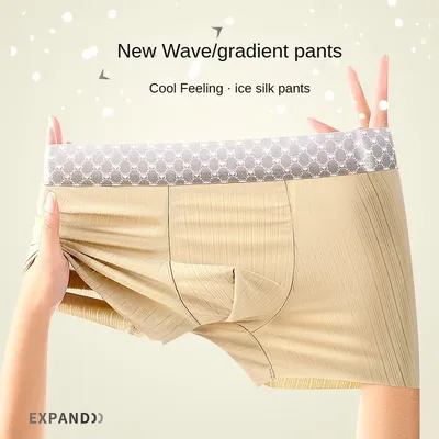 Männer Unterhosen bequeme Herren Höschen atmungsaktive dünne Boxer Eis Seide Shorts spurlose große Höschen Sport Slips Geschenk Image