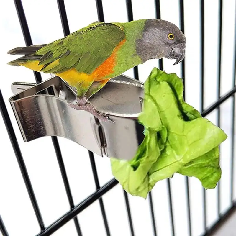 Vögel Futter halter Haustier Papagei Fütterung Obst Gemüse Clip Feeder Gerät Pin Clamp langlebige Haushalts bedarf Vogelkäfig Zubehör Image