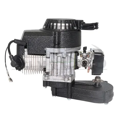 2-Takt-Motor mit Getriebe für 47 cc 49 cc 50 cc Mini Pocket Bike Gas G-Scooter ATV Quad Bike Dirt Pit Bikes