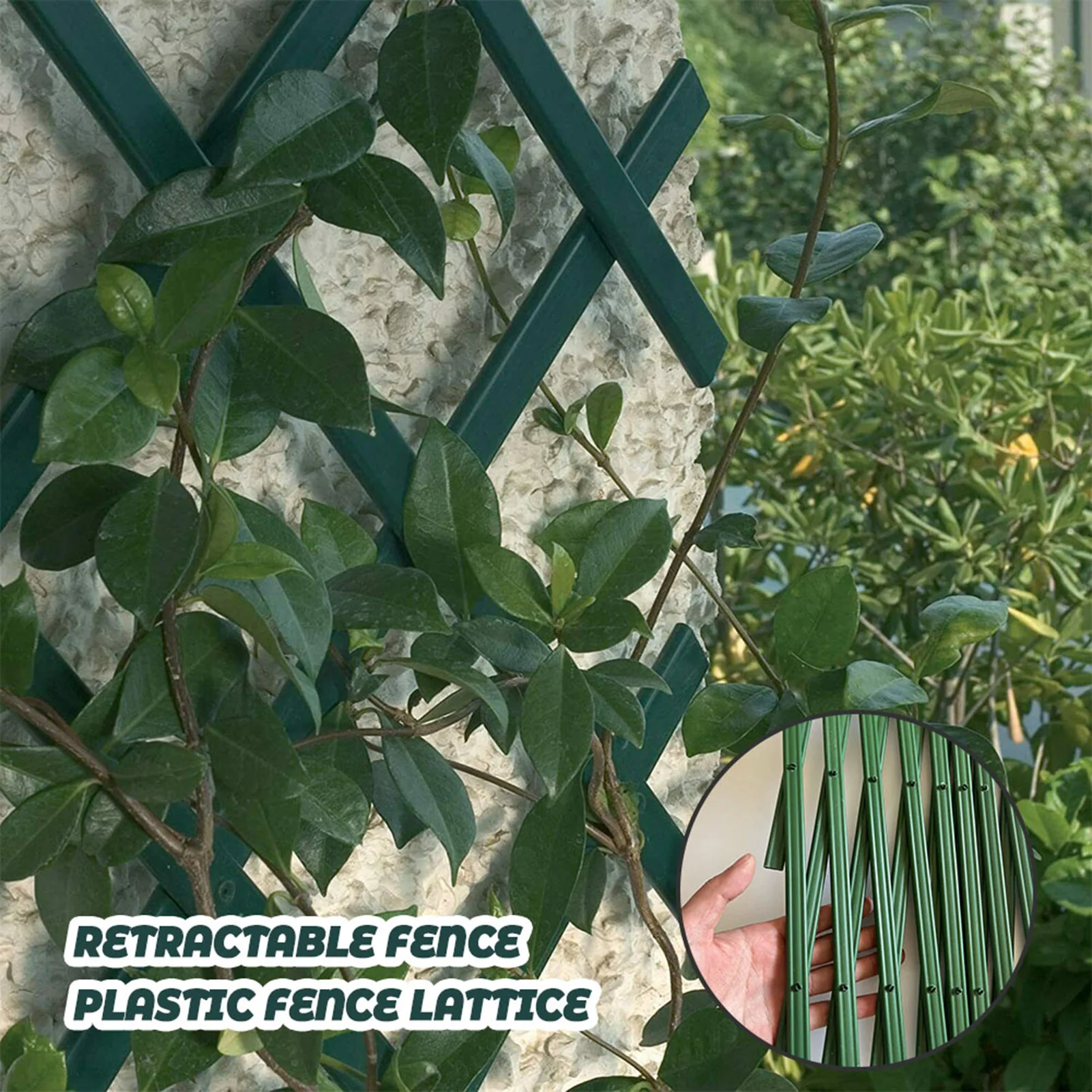 Hecken gitter gitter Wandzaun langlebiges halb manuelles halb mechanisches Gitter für Kletter pflanzen im Freien Image