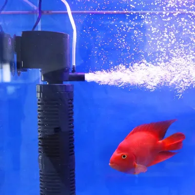 3 in 1 geräuschloser Belüftung wasser reiniger Innen pumpe Tauch aquarium filter Sauerstoff-Tauch Image