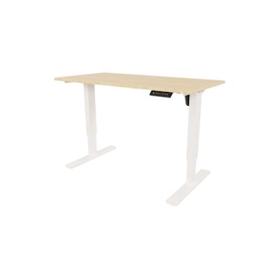 Bisley E-StarterTech elektrisch höhenverstellbarer Schreibtisch 160x60 cm in ahorn - Elektrischer Tisch höhenverstellbar mit Memory-Funktion