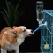 Haustier Hund Katze Wassersp ender Düse hängende Flasche Wasser Getränke brunnen Kopf auslaufs icher Feeder Schüssel Haustier Fütterung gerät 강아지 급수기