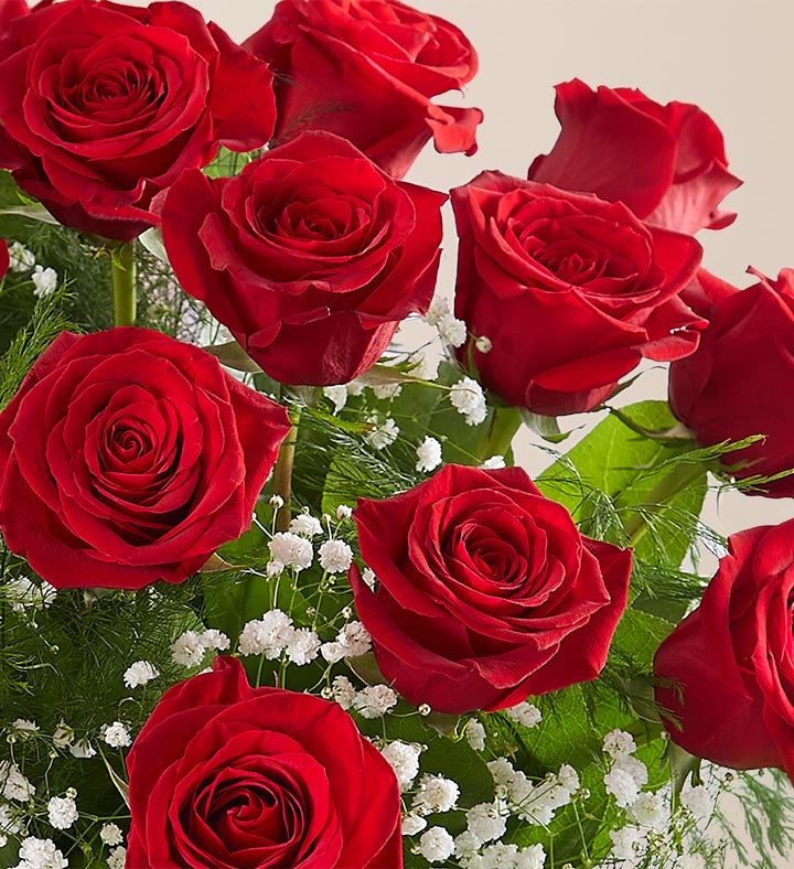 1-800-Flowers Everyday Gift Delivery Milestone Anniversary Bouquet 50 Stems Of Red