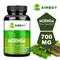 Moringa - Boost Metabolism, Promote Intestinal Health, and Improve Digestion