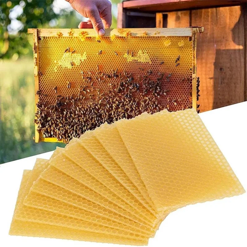 10 stücke Bee Wax Foundation Bee Hive Wachs Rahmen Basis Blätter Bee Kamm Honig Rahmen Bienenwachs Blätter Imker Ausrüstung Image