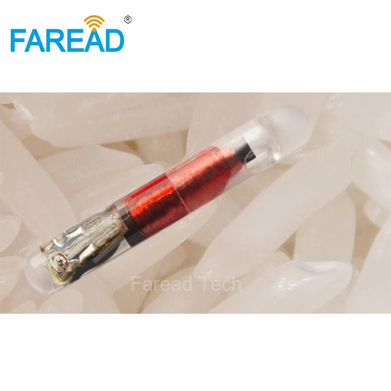 10 stücke 2,12 x12mm Rfid Micro Bioglass Tag 125KHz Digitals ID Microchip Transponder Chip für Asset Kennung EM4100/EM4102/EM4200 Image