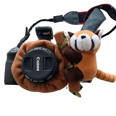 Other+Camera+Accessories