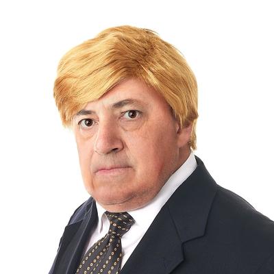 Donald Trump Wig for Adults and Kids Presidential Political Costume Wig (Make American Carnival Great Again)